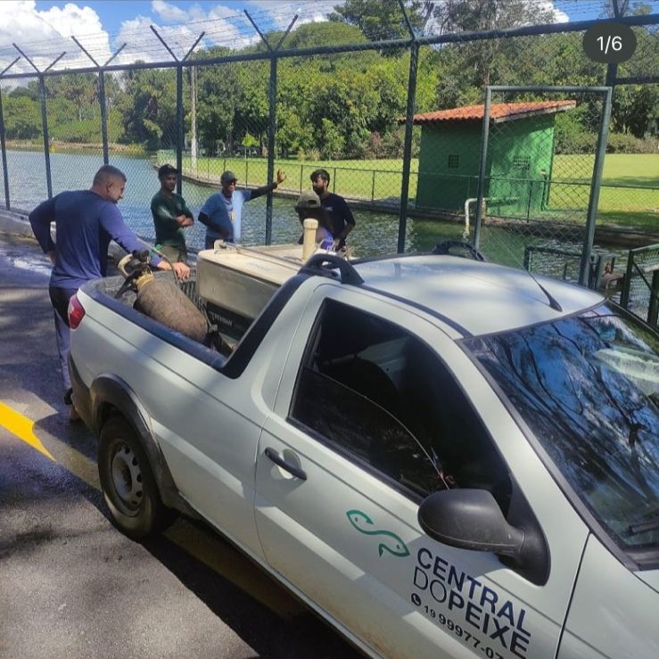 Equipe da Central do Peixe com caminhonete em operação